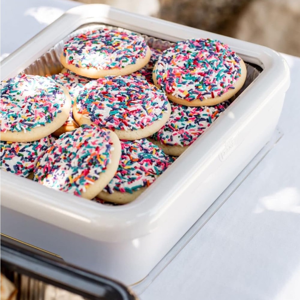 Fancy pan travel dish